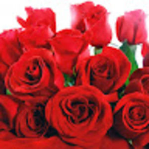 Meet your Posher, Sindya